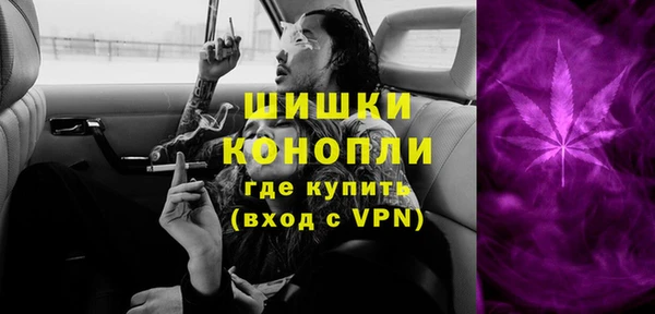 гидра Лагань
