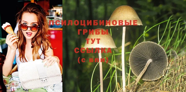 бутират Ладушкин